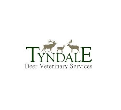 Image of tyndale logo framed