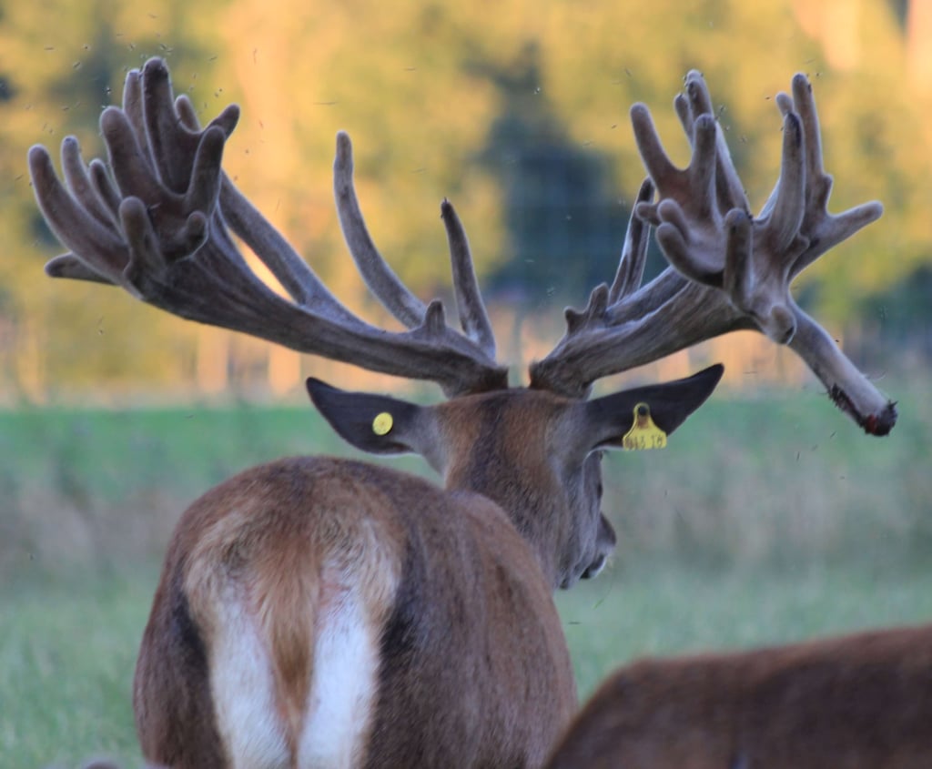 Image of ampthill age 3 2016