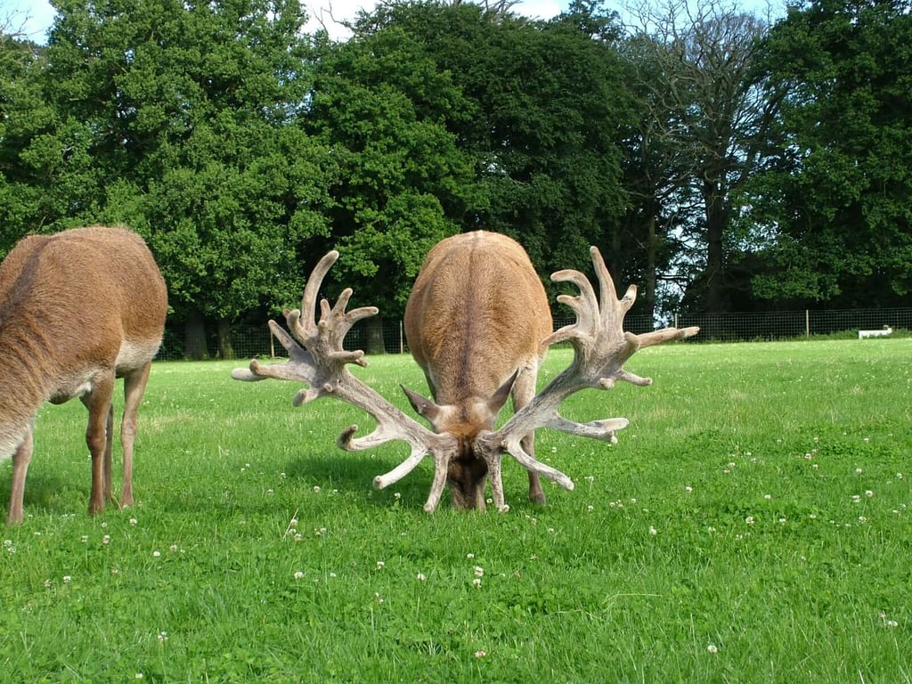 Image of jamie 2007 age 10