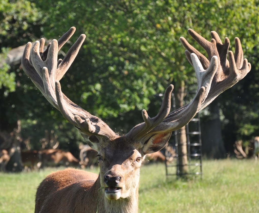 Image of wallace 2010 age 7