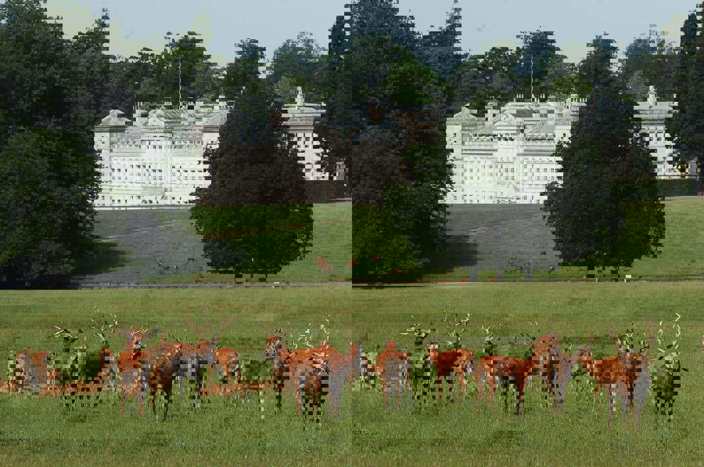 Image of pere david with abbey