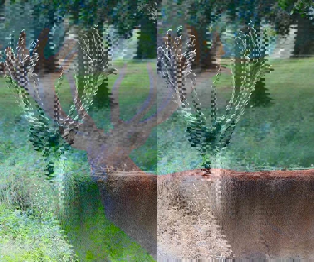 Image of torrington 2016 2