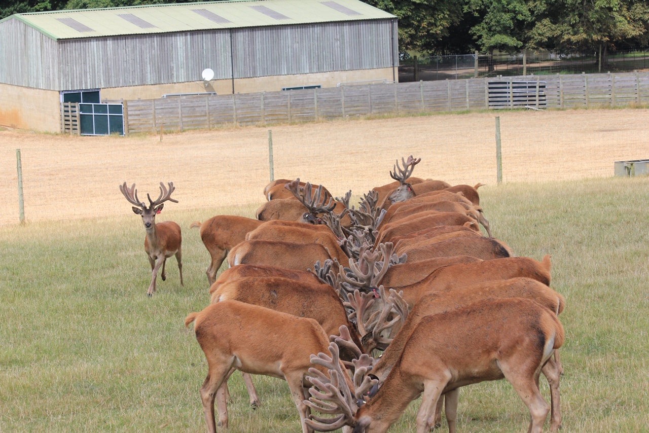 Image of 2 year olds born 2015